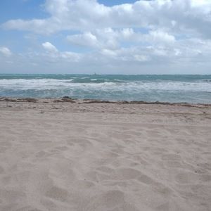 Meet your Posher, Cami